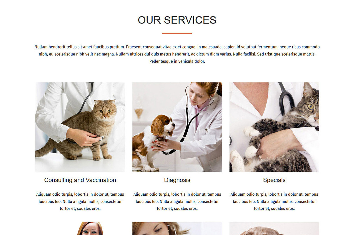 Pet Veterinary, a Bootstrap Template by VALIASOLUTION SHOP (Photo 3 of 7)
