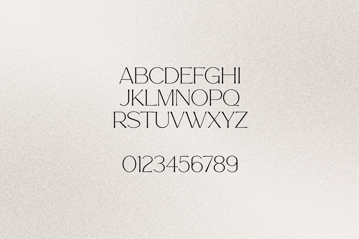 Story Type elegant typeface 18 fonts, a Serif Font by VP Fonts (Photo 11 of 16)
