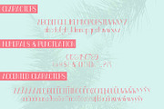 Miami Vibes Sans, a Sans Serif Font by Beck McCormick (Thumbnail 6 of 7)