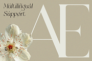Margoe - Elegant Display Serif Font, a Serif Font by Qweera Studio (Thumbnail 9 of 12)