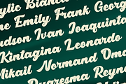 Bargeming Display Script Font, a Script Font by Basnistudio (Thumbnail 12 of 15)