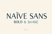 Naive Sans Bold & Shake, a Handwritten Font by S&C Type (Thumbnail 1 of 6)