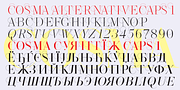 Cosma, a Serif Font by Wiescher-Design (Thumbnail 10 of 11)