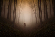 Haunted Halloween Forest Pack 2, a Nature Photo by Atmospheric visuals (Thumbnail 4 of 6)