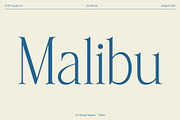 CS Rivosa – Elegant Serif Font, a Serif Font by Craft Supply Co. (Thumbnail 2 of 8)