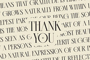 CASSEROS MASSCOTTES Elegant Serif, a Serif Font by Alfinart (Thumbnail 10 of 11)