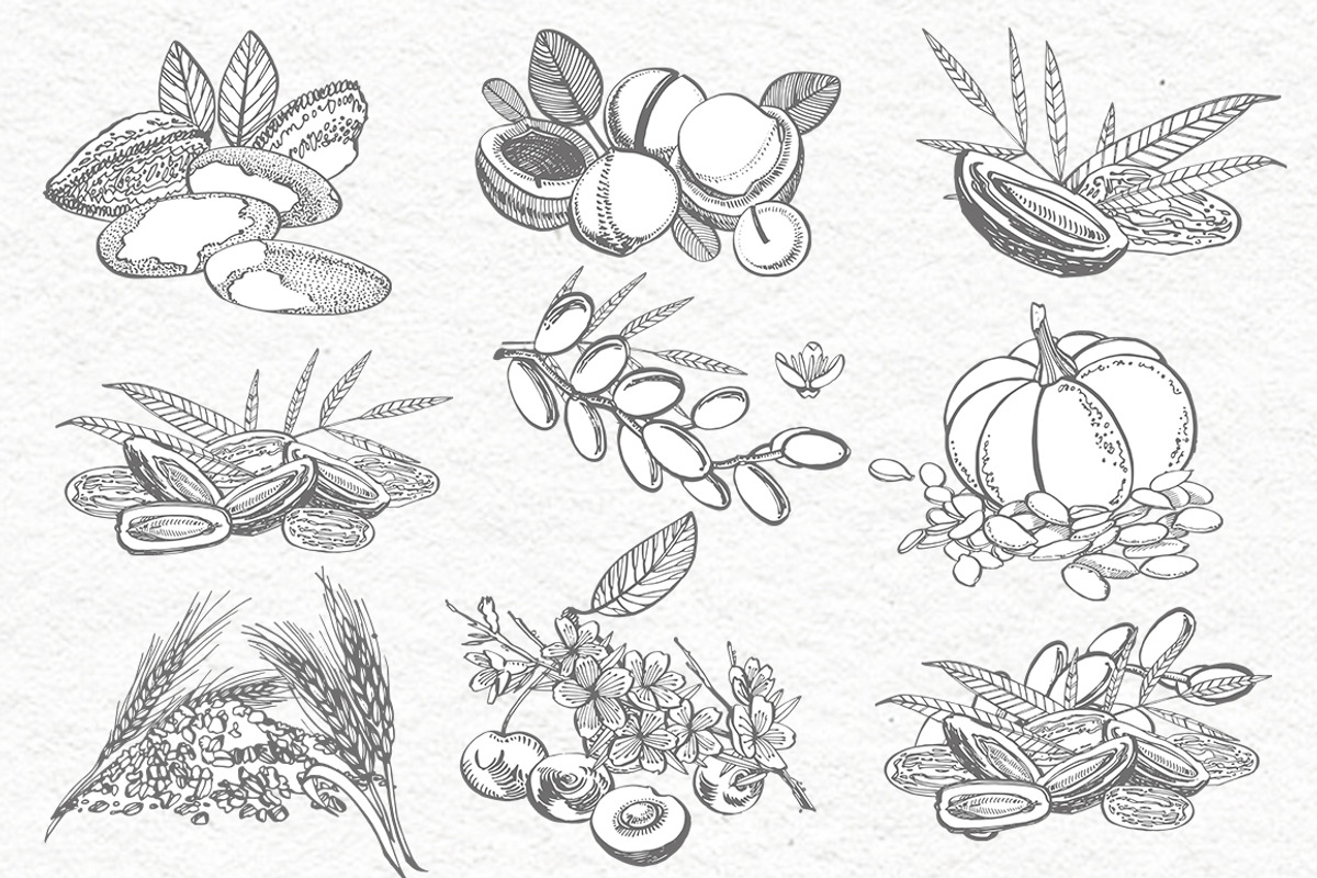 Nuts &  Health snacks, a Food Illustration by Ann Astro (Photo 3 of 12)