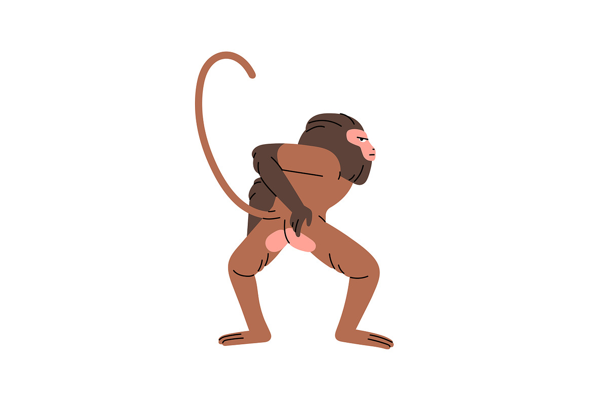 Funny monkeys play in jungle set, an Animal Illustration by PaperTrident (Photo 5 of 10)