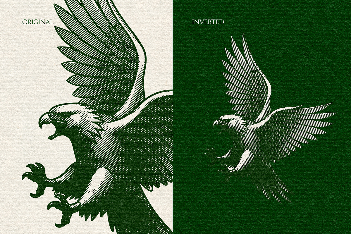 Heraldry Eagle Engraving, an Animal Illustration by Kaizla03 (Photo 4 of 4)