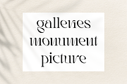 Rogain - Modern Serif, a Serif Font by LoneArmy (Thumbnail 8 of 12)