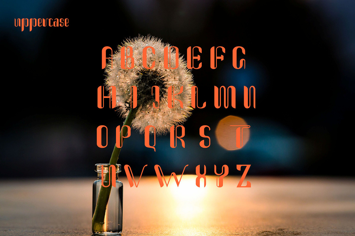 Cintiya, a Font by Funtype (Photo 10 of 11)