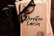 Konichiwa Handbrush Font, a Script Font by Motokiwo (Thumbnail 6 of 10)