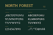 North Forest Vintage Serif Font, a Serif Font by UICreative (Thumbnail 2 of 5)