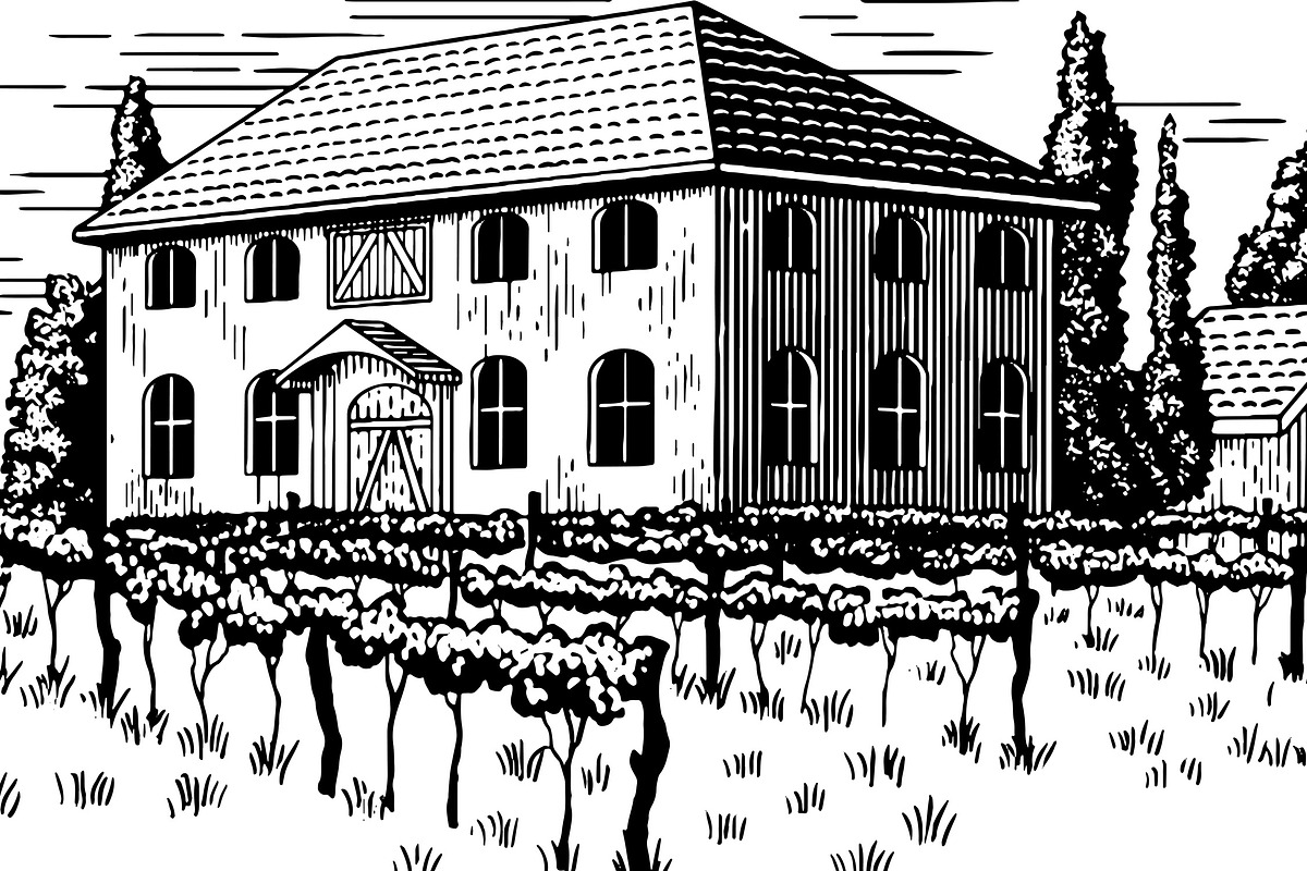 Elegant Vineyard, an Illustration by blue67sign (Photo 2 of 2)