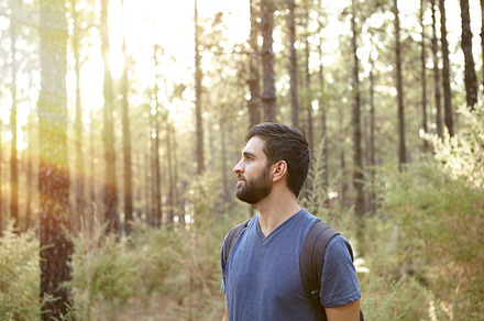Visiting the forest containing young, trees, and backpack