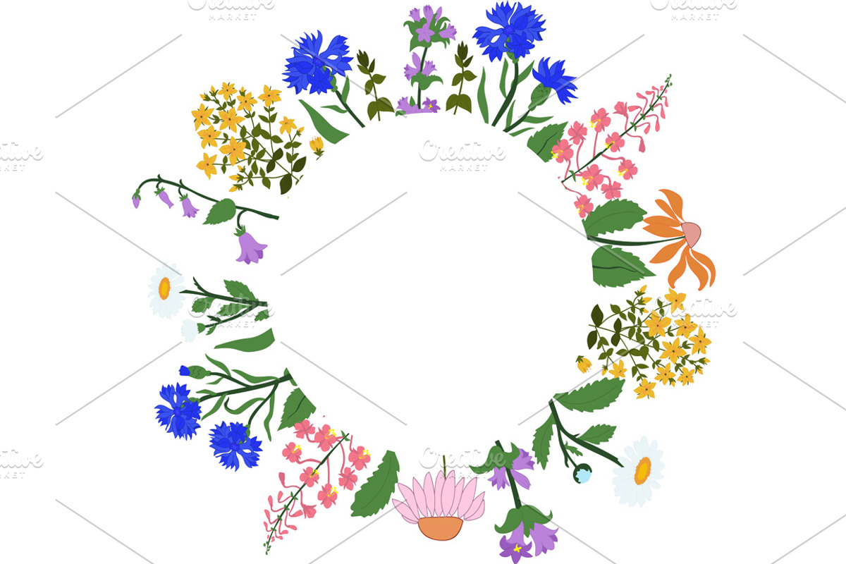 Vector card with herbs in a circle, an Illustration by Orangepencil