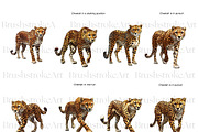 Cheetah Clipart, Wild Cat, Cheetah, an Animal Illustration by BrushstrokeArtGB (Thumbnail 4 of 9)