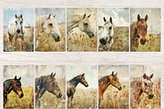 HORSE IN MEADOW JUNK JOURNAL PAGES, an Animal Illustration by Daring Digies (Thumbnail 2 of 6)