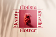 Karida || Bold Stylish Serif Font, a Serif Font by Idea Studio (Thumbnail 10 of 10)