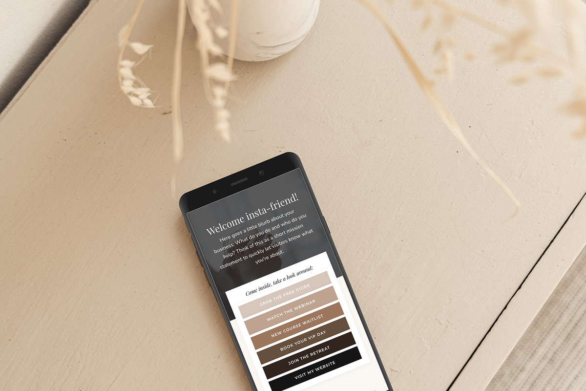 Kajabi Link in Bio Page Template, a Landing Page Template by Pixel & Flow (Photo 8 of 9)