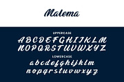 Malema Handwritten Script Font, a Script Font by Maulana Creative (Thumbnail 3 of 10)