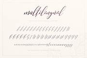 Glitterino - Stylish Script Font, a Script Font by AlienValley (Thumbnail 6 of 6)