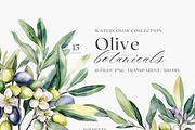 Olive Botanicals – Watercolor, a Decorative Illustration by ThaismotaCreativeCo (Thumbnail 1 of 9)