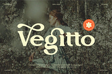 Vegitto || Vintage Retro Serif Font