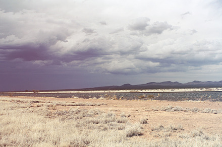 Xeriscape Scene preview 6