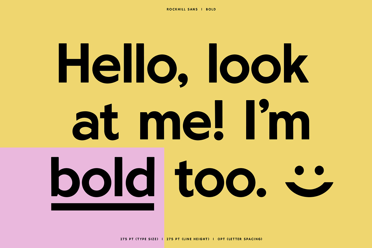 Rockhill Sans: A Diverse Sans Serif preview 4