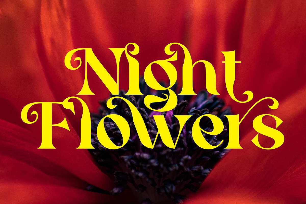 Cehua – Elegant Display Font, a Serif Font by AuthenType (Photo 3 of 10)