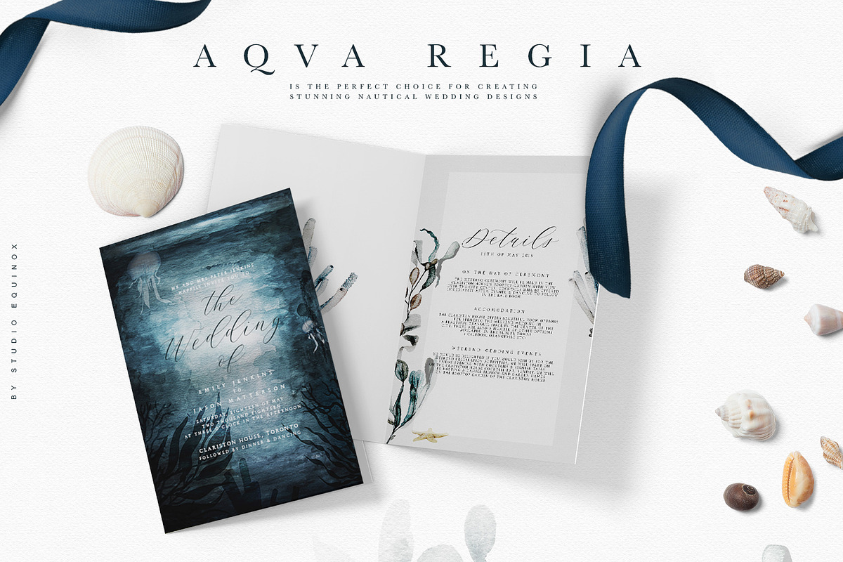 Aqva Regia - Underwater Designer Set, an Illustration by studioequinox (Photo 2 of 9)