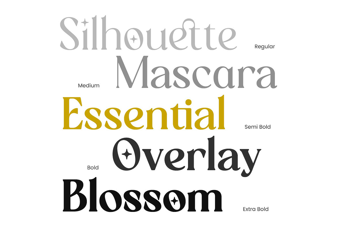 Randeta Olindra - Serif Family, a Serif Font by Novitype (Photo 6 of 13)