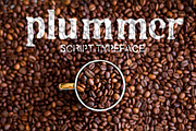 Plummer Script Typeface, a Script Font by SmartDesigns (Thumbnail 1 of 5)