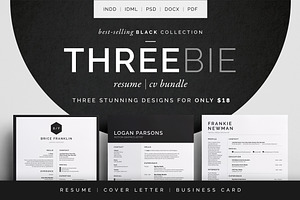 Resume/CV - Threebie Bundle 3