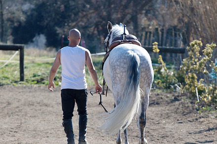 Back view of a bald cowboy man walking with his white horse, a Person Photo by 2Design