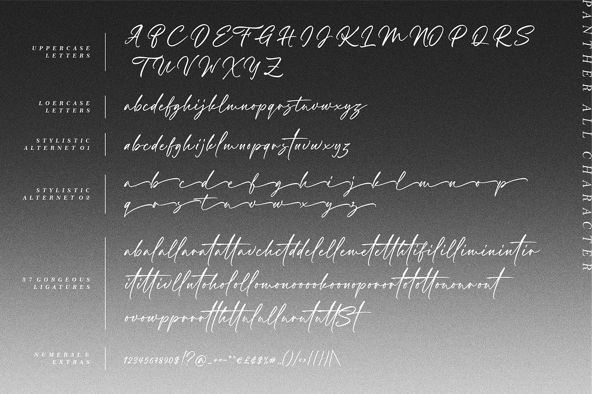 Panther – Handwritten Font, a Script Font by RedyStudio (Photo 14 of 14)