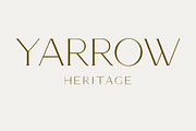 Armeria - serif font, a Serif Font by Art pages (Thumbnail 6 of 8)