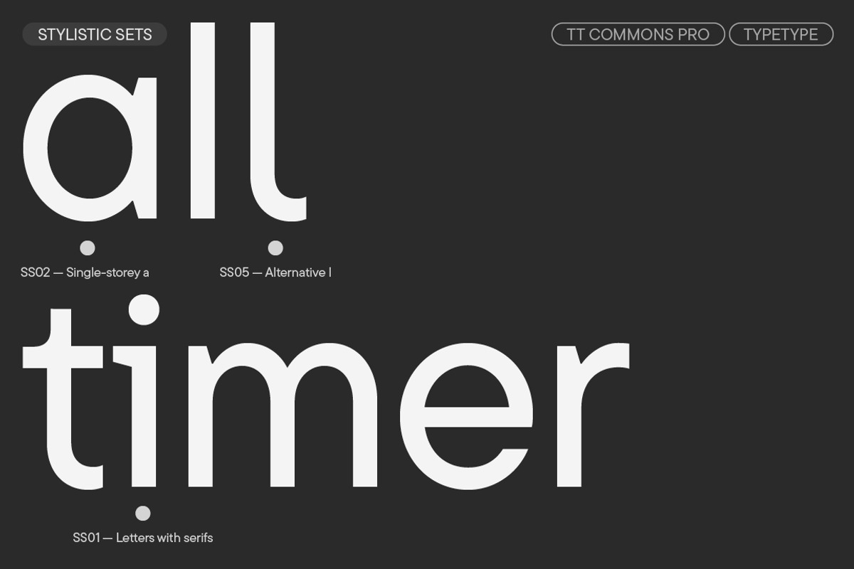 TT Commons Pro Basic, a Sans Serif Font by TypeType (Photo 15 of 15)
