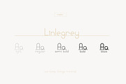 Linlegrey Full set | A Designer Font, a Sans Serif Font by white supply (Thumbnail 2 of 5)