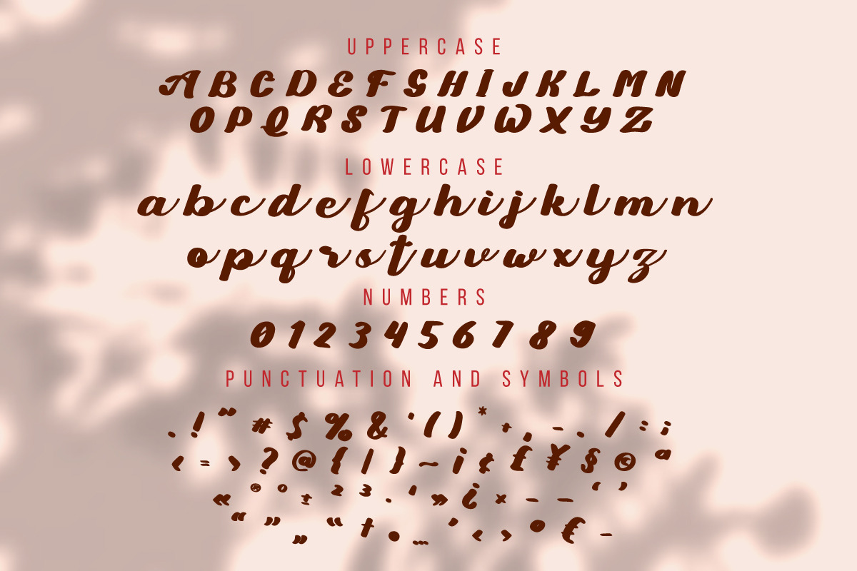 Sodaster, a Script Font by Wangsinawang Studio (Photo 9 of 10)