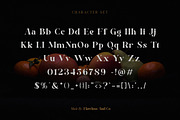 Balkey, a Serif Font by Flawless And Co (Thumbnail 6 of 10)