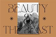 Kiedga Font | Sleek Serif font, a Serif Font by WhymoreArt (Thumbnail 6 of 8)