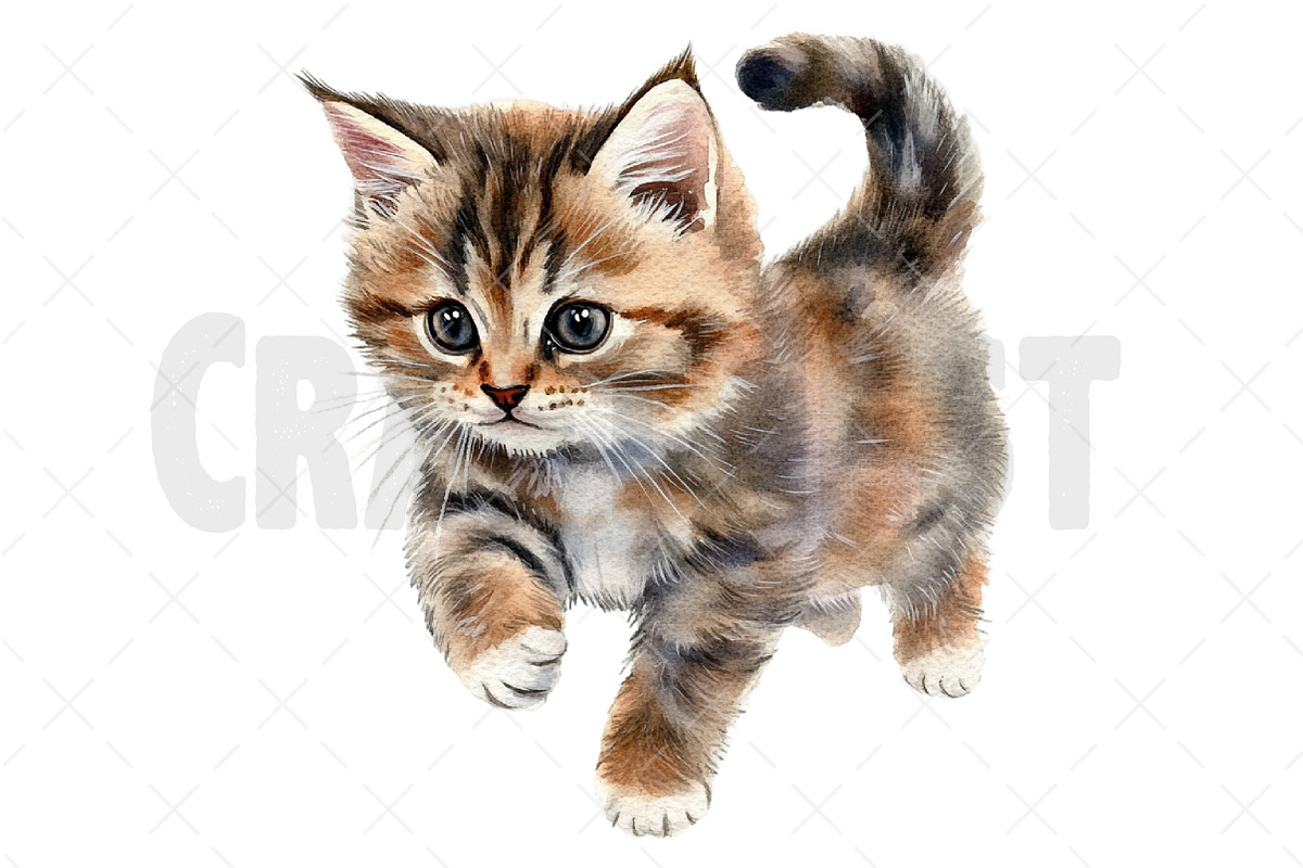 Watercolor Cat Clipart, an Illustration by Craft Nest (Photo 9 of 12)