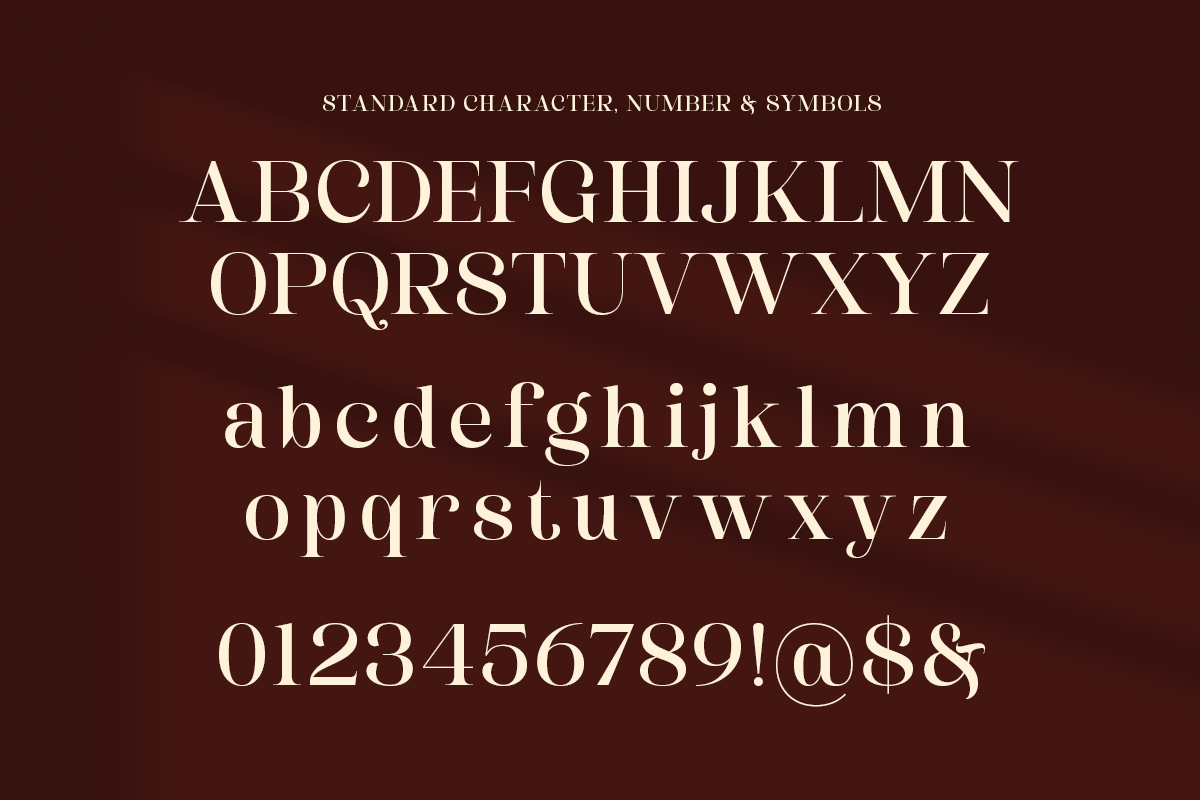 Dashling - Bold Modern Stylish Serif, a Serif Font by Shakira Studio (Photo 10 of 10)