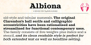 Albiona, a Slab Serif Font by Device (Thumbnail 4 of 5)
