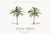 Palm Trees, a Decorative Illustration by PeDe Designs (Thumbnail 9 of 9)