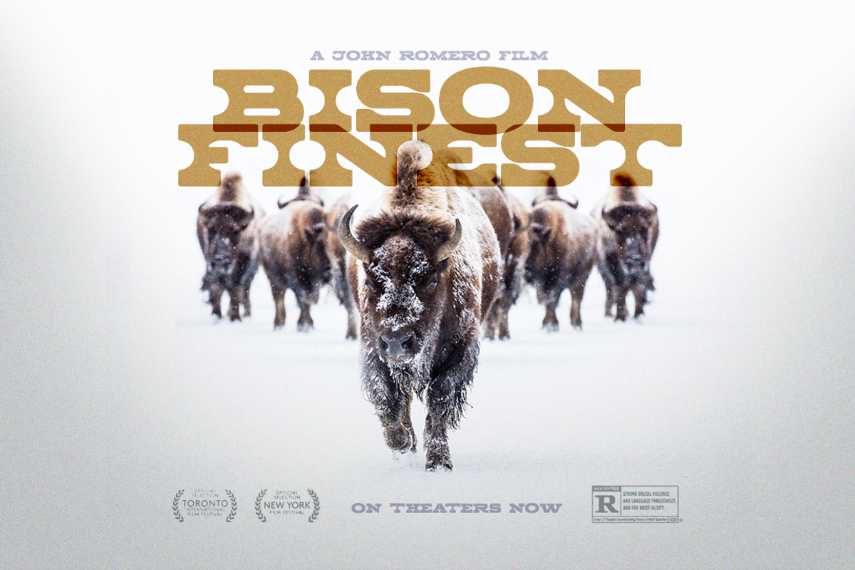 Zorro Font Duo, image size:1200x800