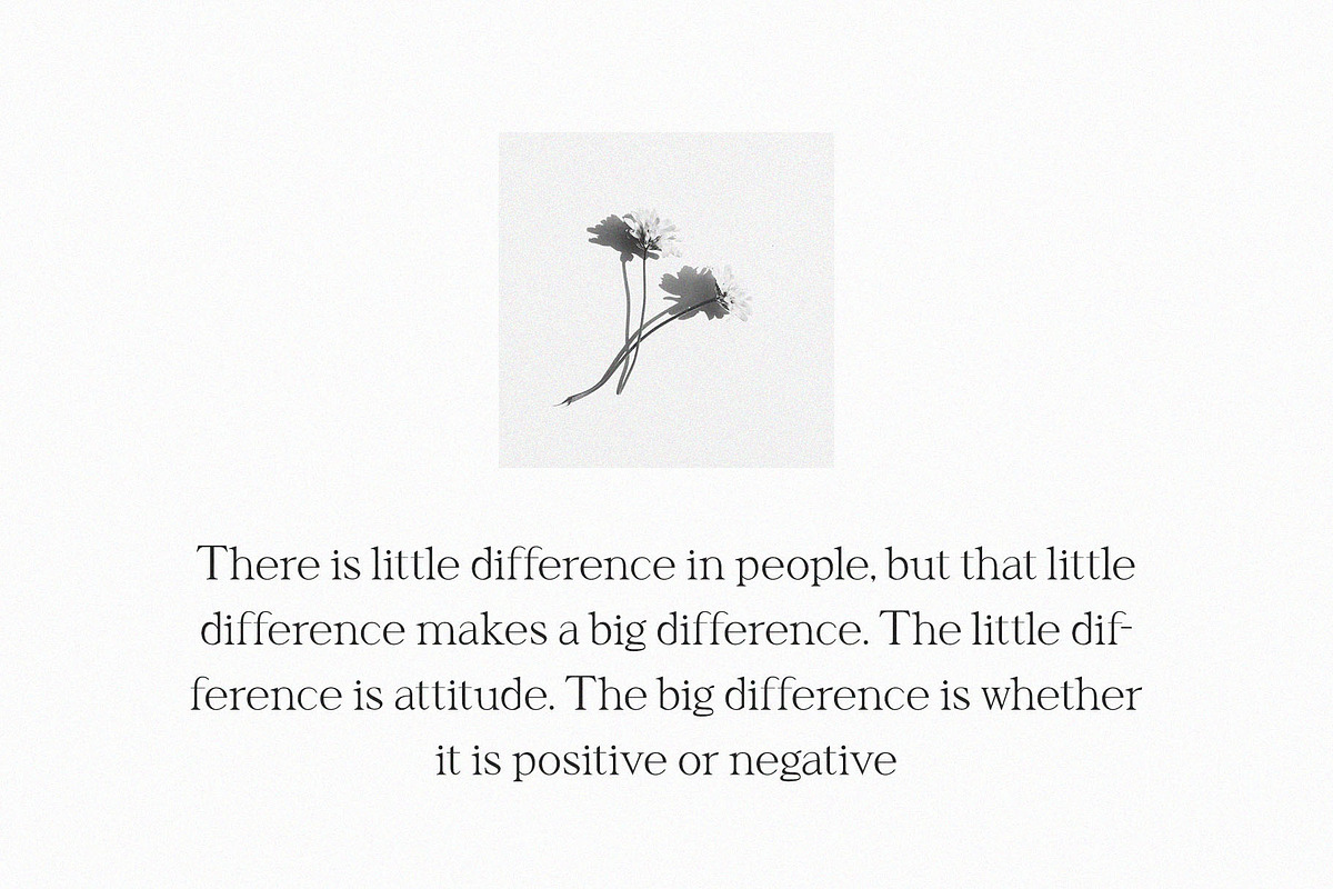Moghize - Modern Elegant Serif, a Serif Font by Typeformers (Photo 2 of 5)
