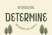 Determine - Handwriting Display Font, a Handwritten Font by CreateBigSupply (Thumbnail 1 of 10)